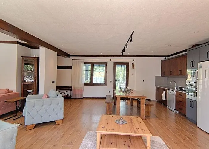 De Bueyuek Havuzlu, Jakuzili Muestakil Villa