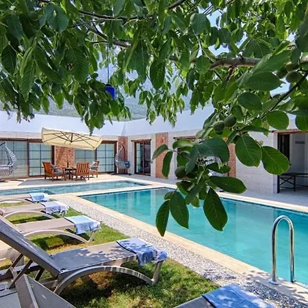 De Bueyuek Havuzlu, Jakuzili Muestakil